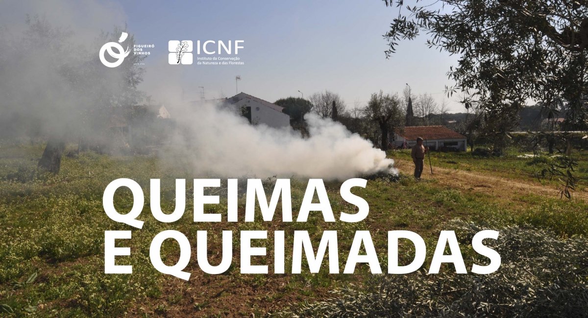 Queimas e Queimadas: procedimentos com seguran&ccedil;a