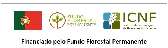 logotipo FFP