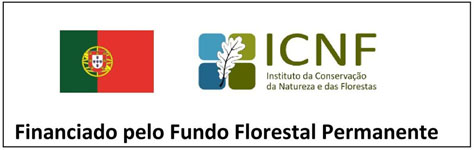 barra ICNF