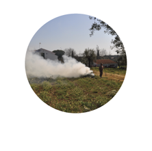 iCONS queimas e queimadas 18