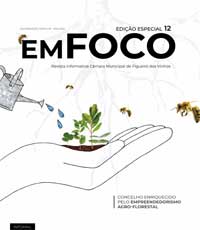 em foco 12 mini