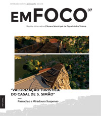 em foco 7 mini