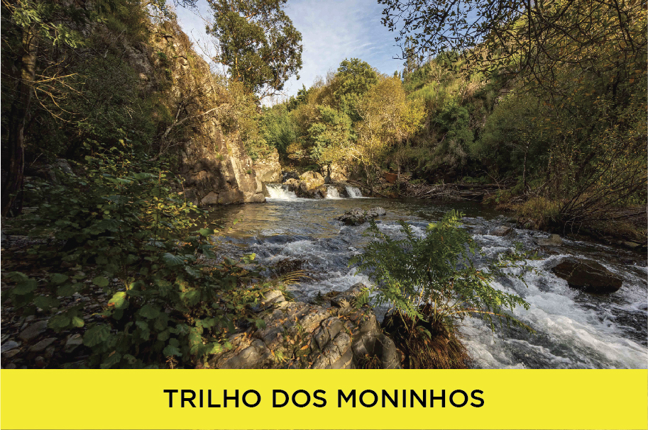 Banners site cada Trilho 06
