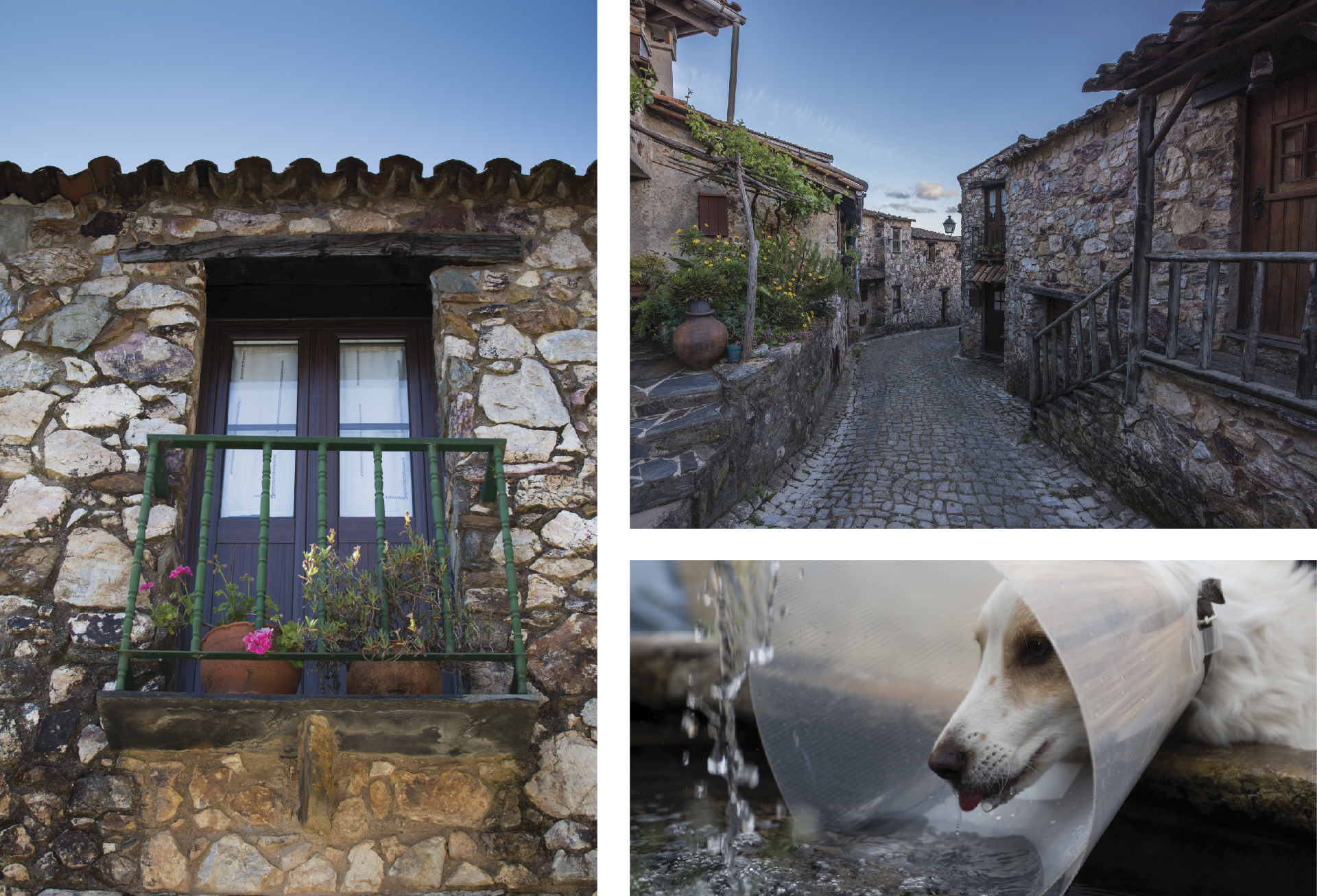 casas