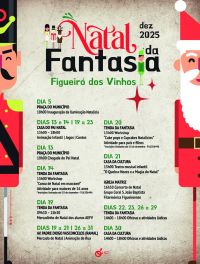Publicidades Diário de Leiria_NATAL DA FANTASIA