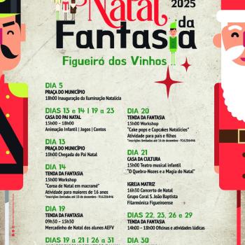 Publicidades Diário de Leiria_NATAL DA FANTASIA