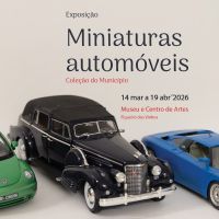 Exp._minicturas carinhos_1X1
