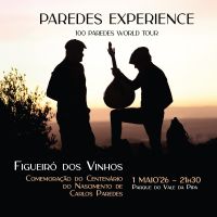 Paredes Experience 26_1x1