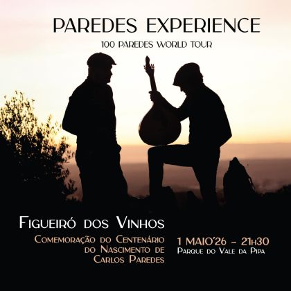 Paredes Experience 26_1x1