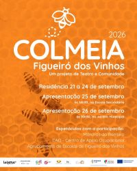Post_Colmeia