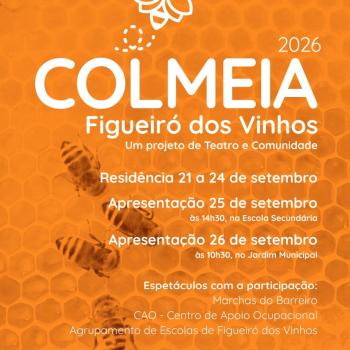 Post_Colmeia