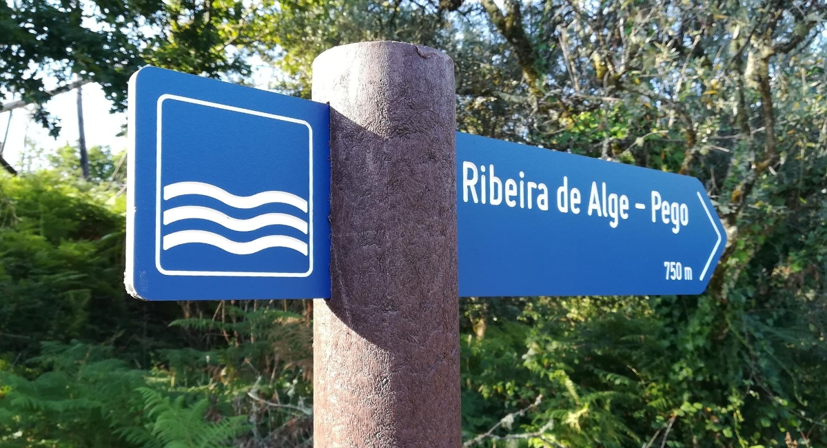 Novos trilhos pedestres em Figueiró dos Vinhos dinamizam território