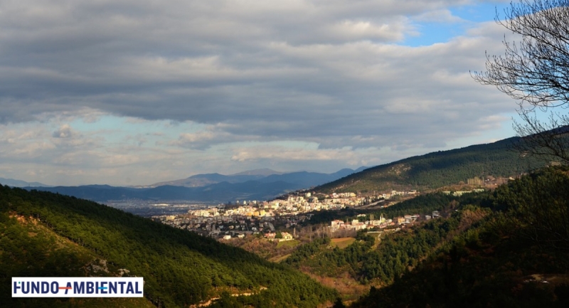 Figueiró dos Vinhos com 4 candidaturas aprovadas nos “Condomínios de Aldeias” – Fundo Ambiental