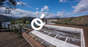 Concurso Público “Atribuição do Direito de Exploração Parque de Campismo e Caravanismo de 3 Estrelas da Foz de Alge”