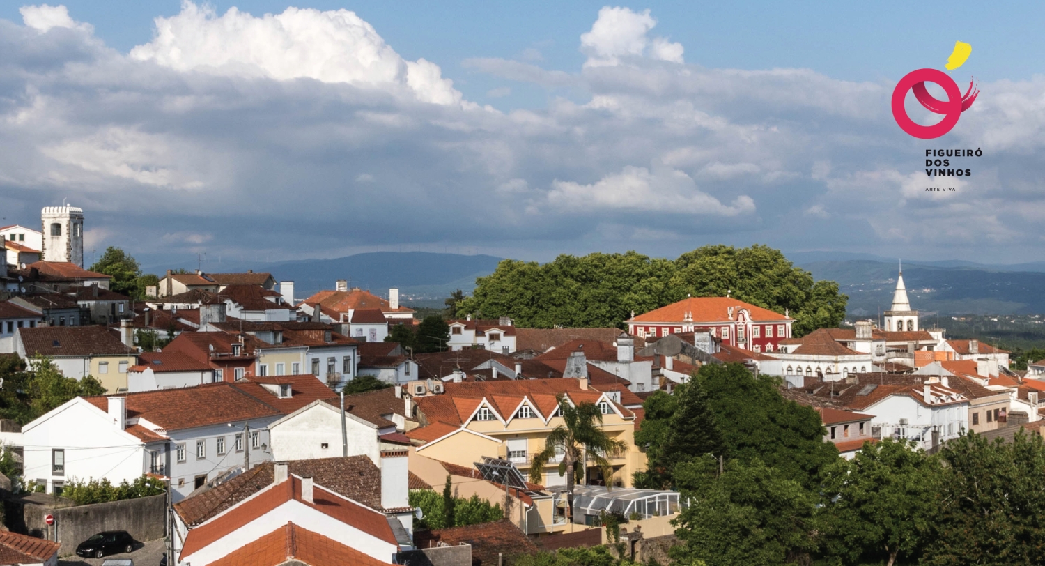 Aprovado Diagnóstico Social e Plano de Desenvolvimento Social do Concelho Figueiró dos Vinhos