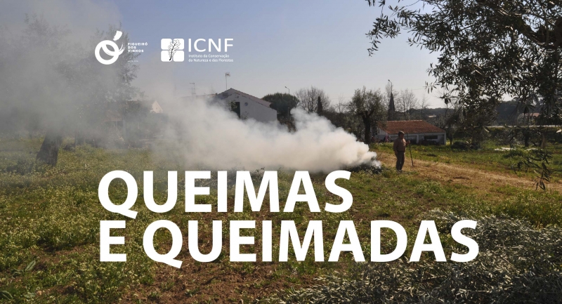 Queimas e Queimadas: procedimentos com segurança