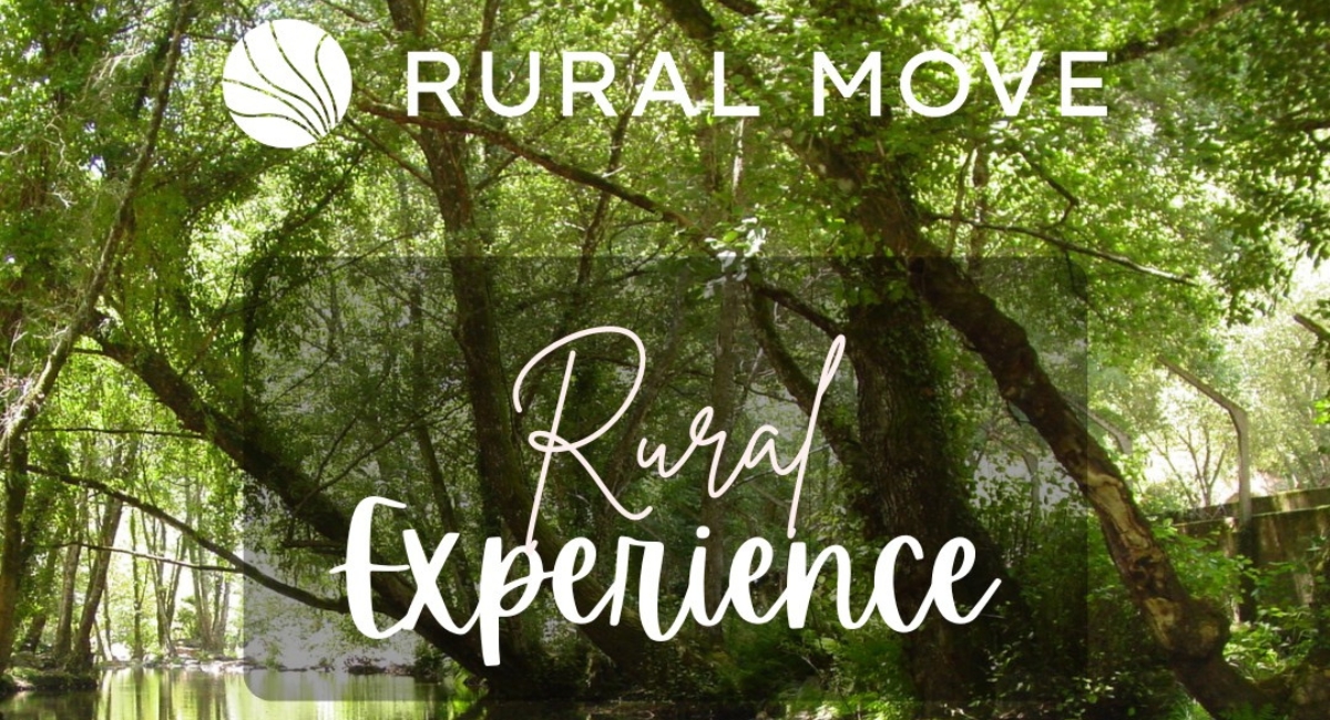 Rural Move e Figueiró dos Vinhos promovem trabalho remoto