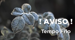 tempo frio