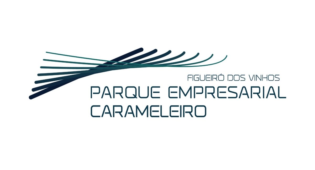 1ª ALTERAÇÃO À REVISÃO DO PLANO DE PORMENOR DO PARQUE INDUSTRIAL DE FIGUEIRÓ DOS VINHOS
