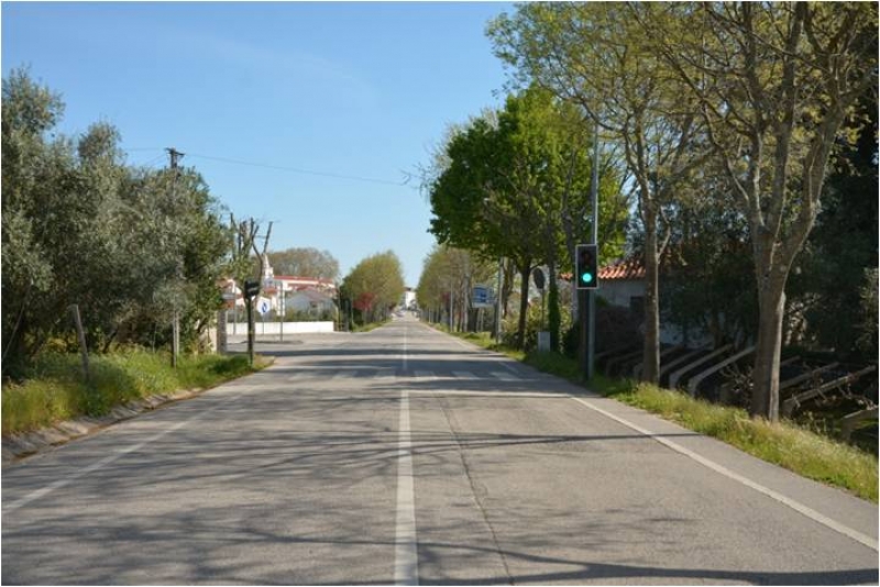 INFORMAÇÃO: Início das obras de beneficiação da Avenida Heróis do Ultramar – Substituição de Árvores