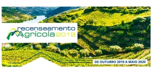Recenseamento Agrícola 2019