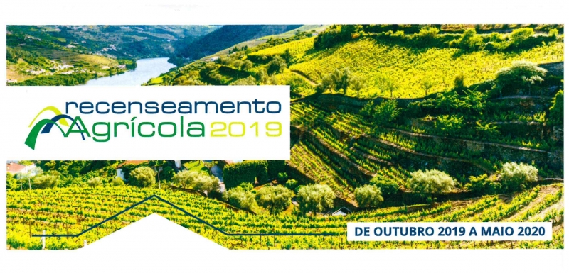 Recenseamento Agrícola 2019