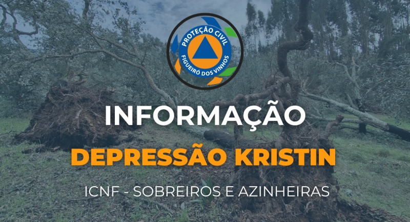 INFORMAÇÃO ICNF | Sobreiros e Azinheiras danificados pela Tempestade Kristin