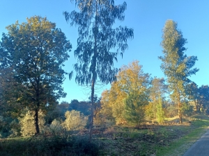 CONDOMÍNIO DE ALDEIA - FIGUEIRÓ DOS VINHOS 2024