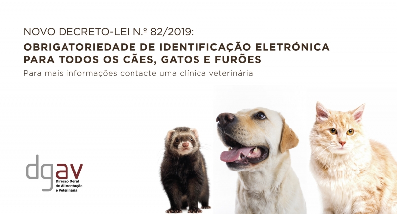 Decreto-Lei n.º 82/2019: Obrigatoriedade de Identificação Eletrónica em todos os Cães, Gatos e Furões