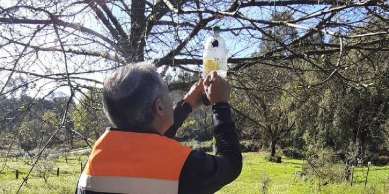 Combate à proliferação da Vespa Velutina   