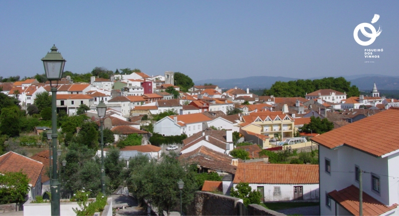 “Radar Social” – Projeto piloto em Figueiró dos Vinhos aprovado pelo PRR   