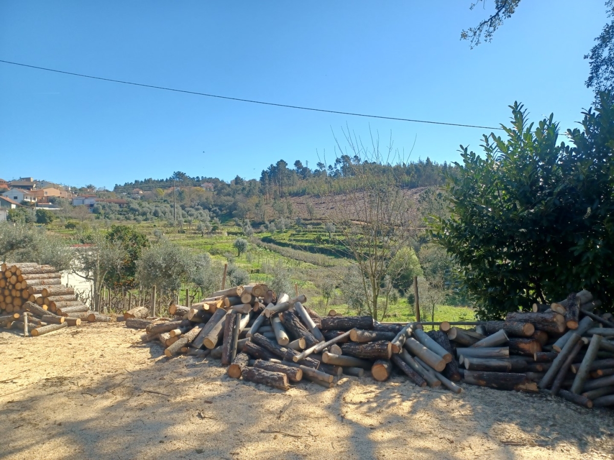 CONDOMÍNIO DE ALDEIA | FIGUEIRÓ DOS VINHOS