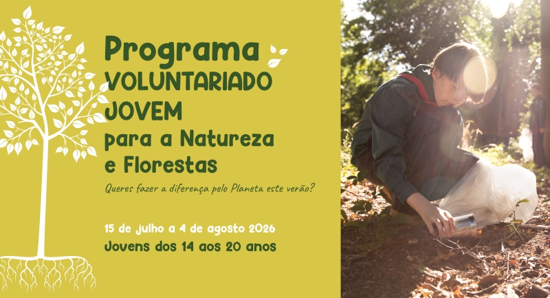 Programa de Voluntariado Jovem para a Natureza e Florestas