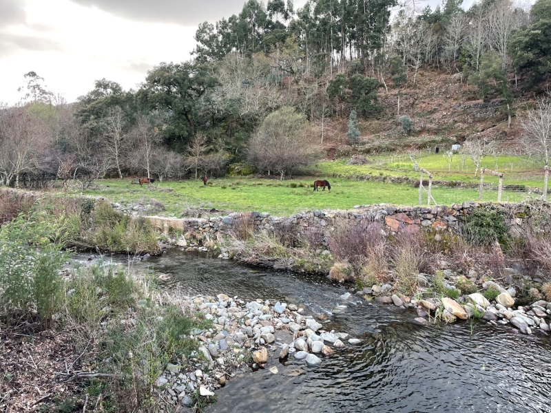 Figueiró dos Vinhos tem novos 14 Condomínios de Aldeia aprovados pelo PRR – Fundo Ambiental