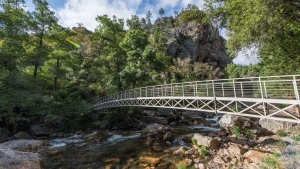 Concurso Público “Atribuição do Direito de Exploração do Bar da Praia Fluvial Fragas São Simão”