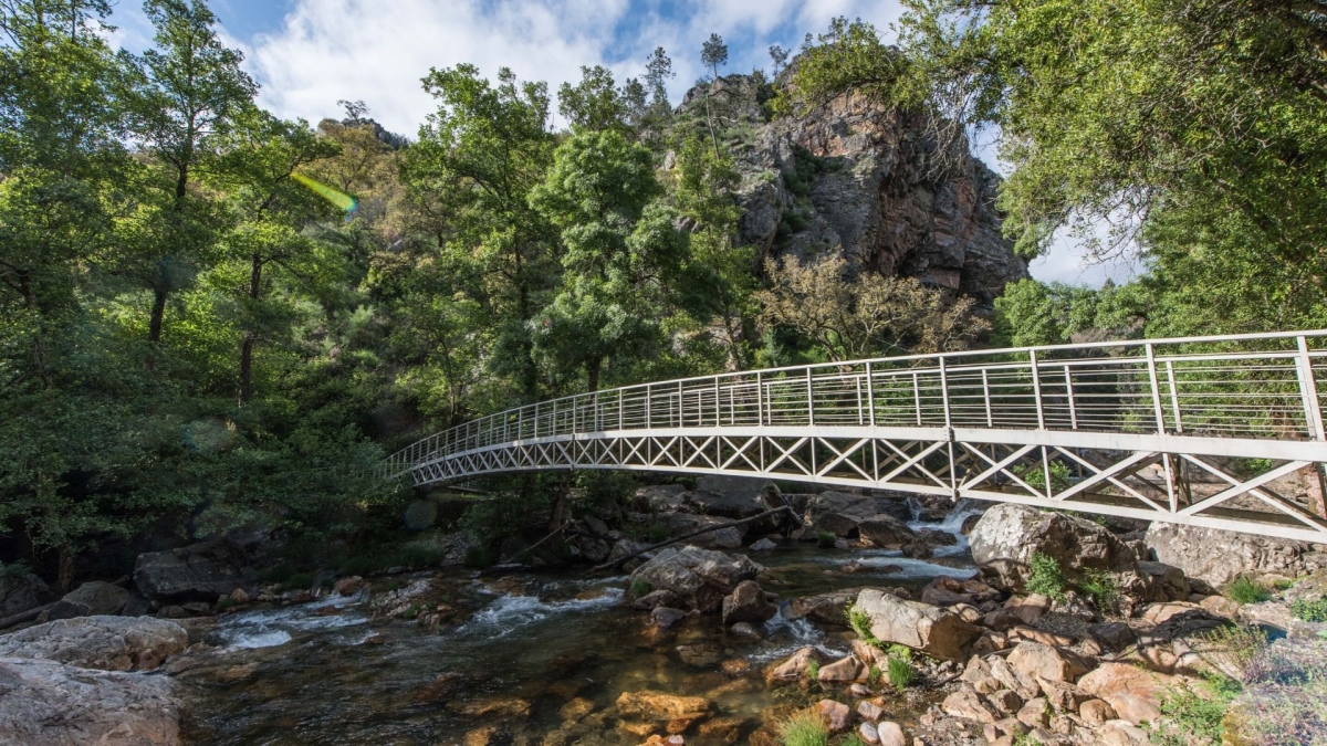 Concurso Público “Atribuição do Direito de Exploração do Bar da Praia Fluvial Fragas São Simão”