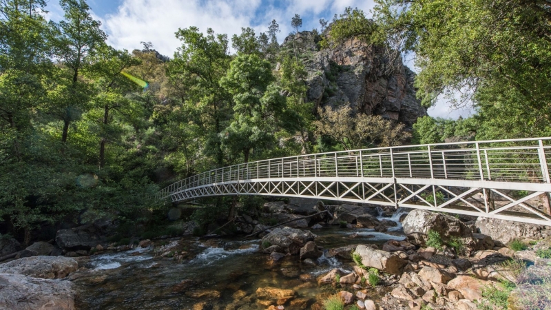 Concurso Público “Atribuição do Direito de Exploração do Bar da Praia Fluvial Fragas São Simão”