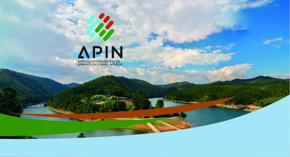 APIN - Serviços já em funcionamento