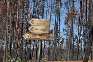 Aprovada candidatura para a reposição da Segurança rodoviária nas estradas afetadas pelos Incêndios em Figueiró dos Vinhos