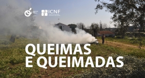 Suspensão Temporária da Plataforma de Licenciamento de Queimas e Queimadas