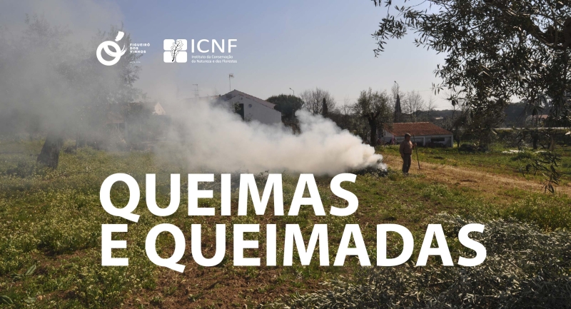 Suspensão Temporária da Plataforma de Licenciamento de Queimas e Queimadas