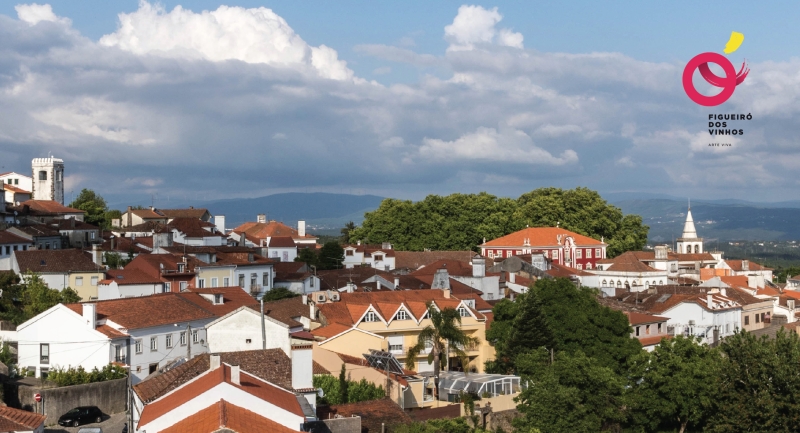 3.ª Alteração à 1.ª Revisão do Plano Diretor Municipal de Figueiró dos Vinhos: Publicitação dos Resultados da Discussão Pública